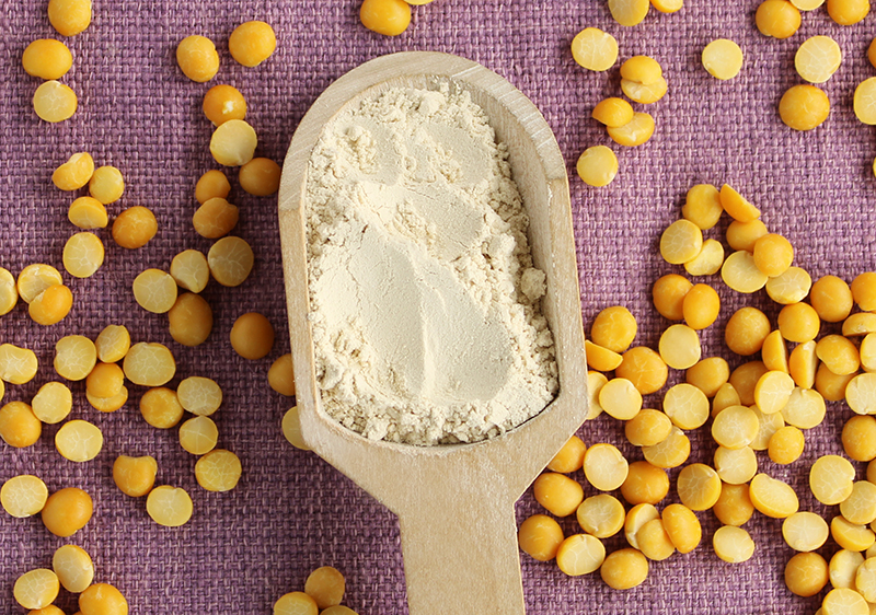 certified non-GMO Pea Protein Isolate 85% bulk powder